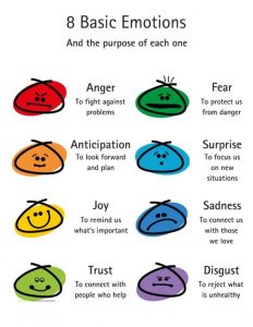 Different Types of Emotions in Psychology - All Questions Answered