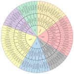 Understanding Your Emotions Inside Out With the Emotion Wheel: FEAR