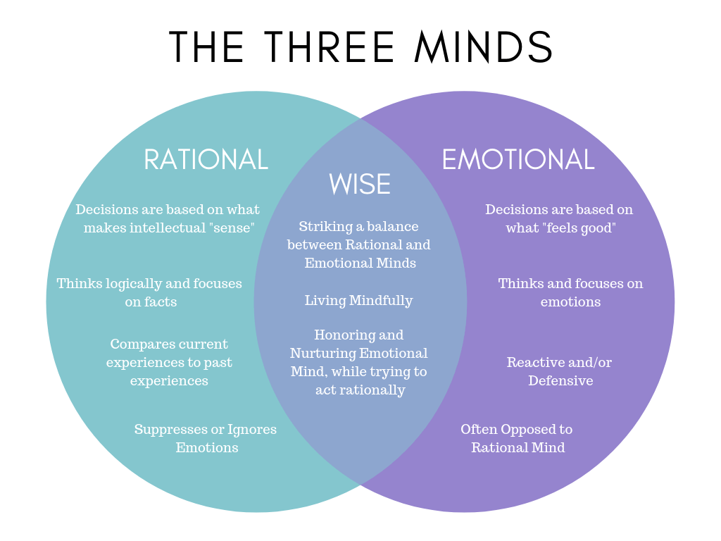 Are You A Rational Or An Emotional Thinker Or Both 