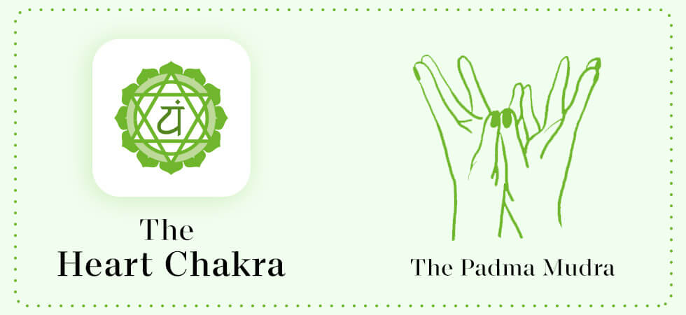 Mudras And Mantras To Balance And Awaken Your Chakras