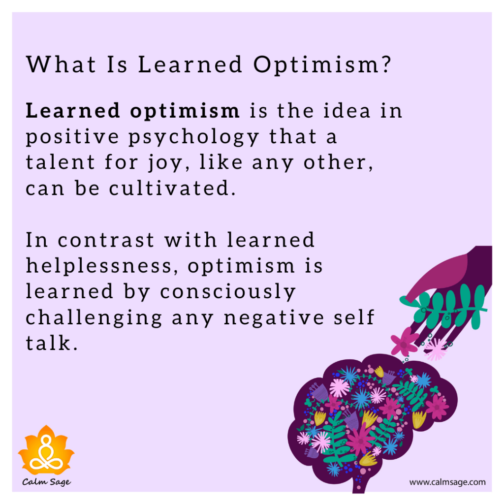 learned optimism by martin seligman