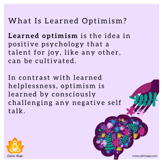 Learned Optimism: Martin Seligman’s Way To A Positive Life