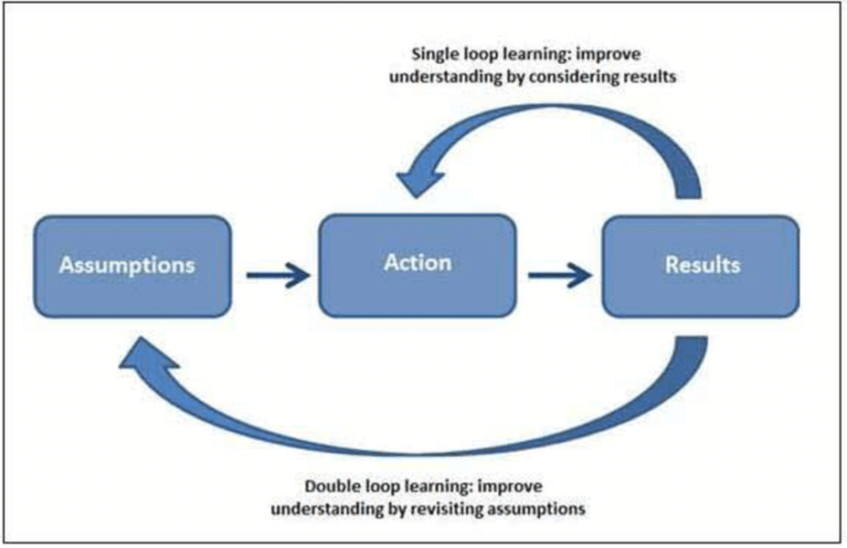 Single And Double Loop Learning Reflective Practice