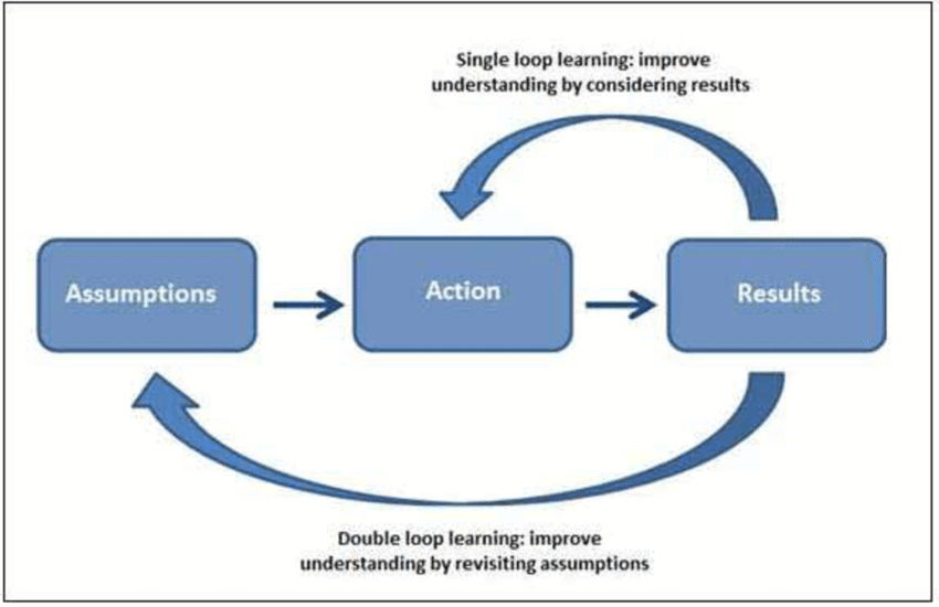 Do you know the difference between single loop and double loop learning?