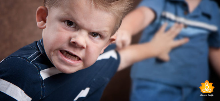 strategies-on-how-to-stop-aggressive-behavior-in-toddlers