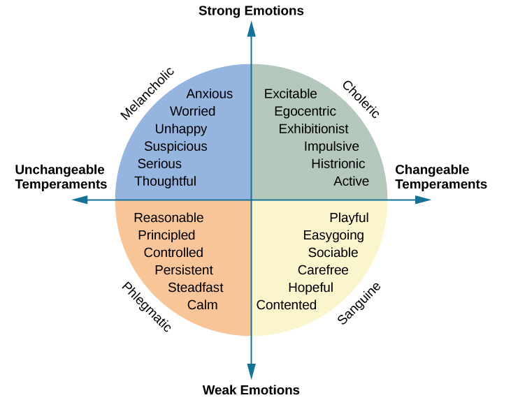 4 Most Common Types Of Temperament Which One Do You Possess 