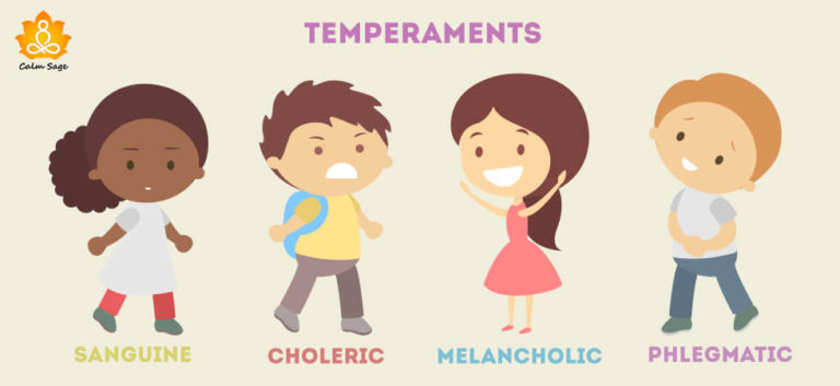 What Is An Example Of A Temperament