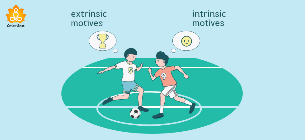 Intrinsic Vs Extrinsic Motivation Meaning Examples Key Differences