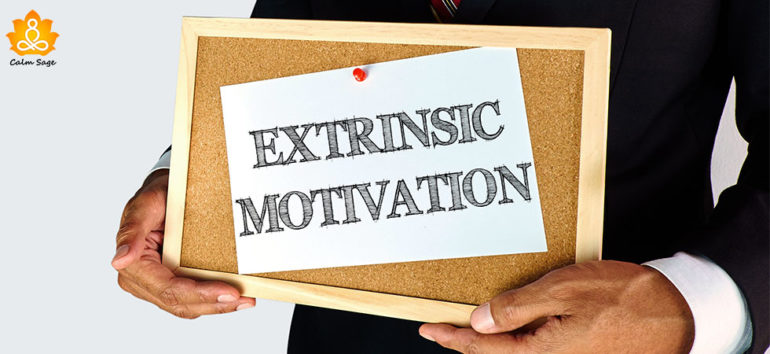 what-is-extrinsic-motivation-definition-and-everyday-examples