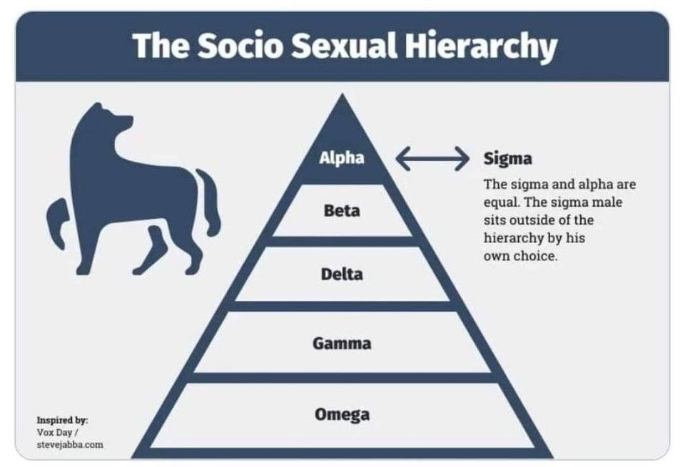 What Is Sigma Male Or Female Personality Type Explain - vrogue.co