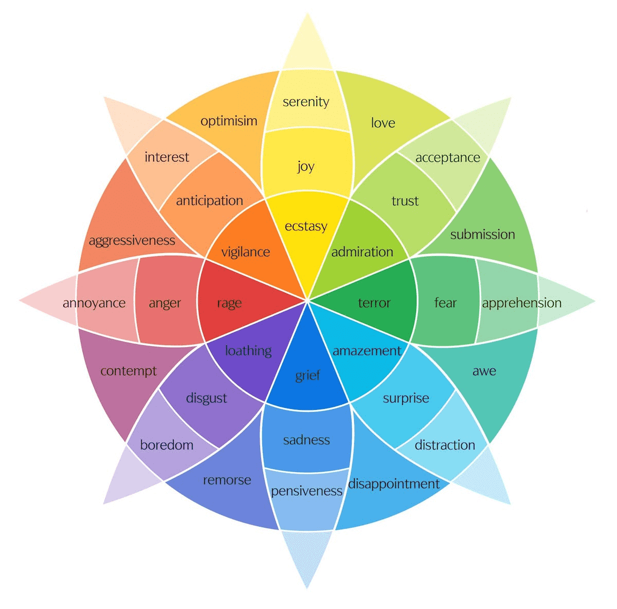 the-emotion-wheel-primary-emotions-benefits-how-to-use-it