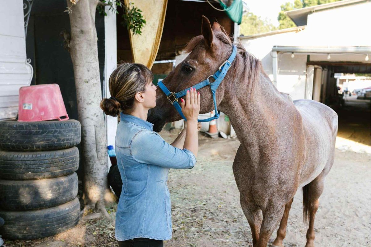 Equine Therapy For Mental Health: Types, Benefits, & More!