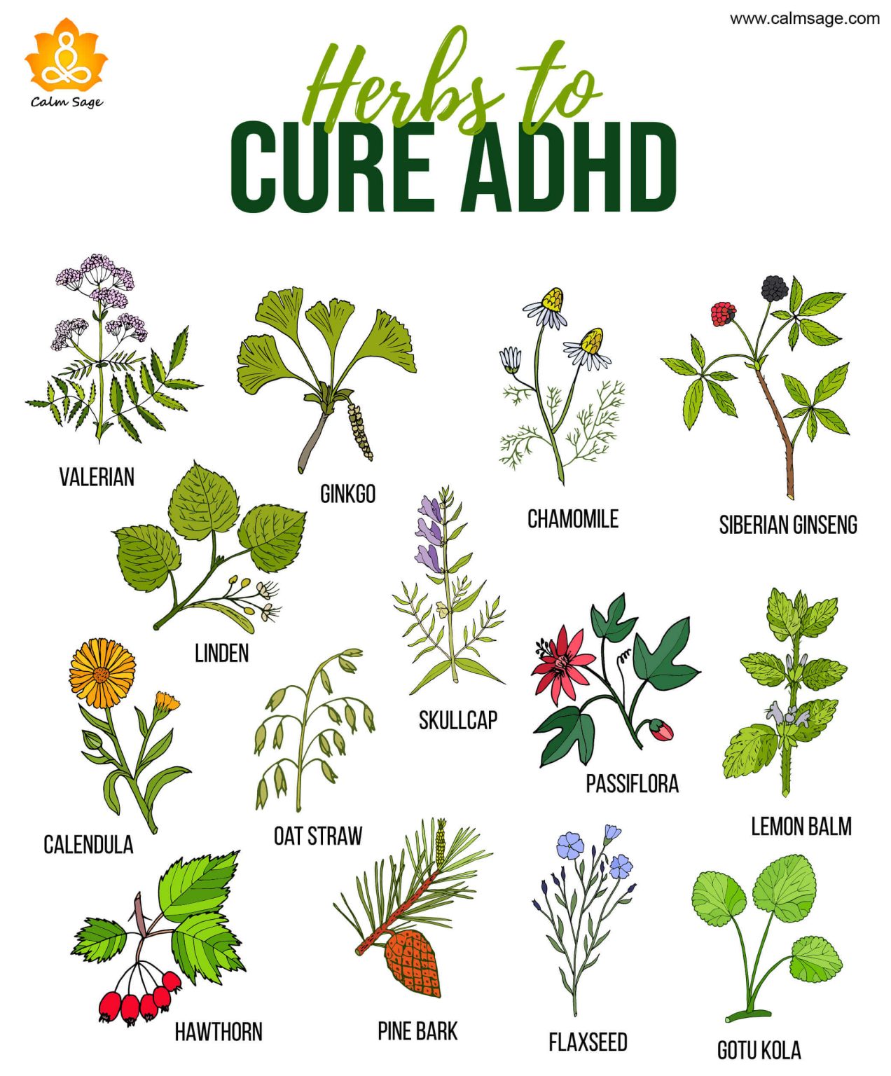 6-best-herbs-to-help-ease-adhd-symptoms