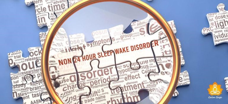 mini-guide-what-is-non-24-hour-sleep-wake-disorder