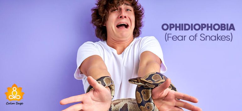 Mini-Guide: What Is Ophidiophobia (Fear Of Snakes)?