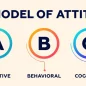 The-Components-of-Attitude