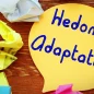 What-is-Hedonic-Adaptation-or-Hedonic-Treadmill